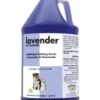 ShowSeason Lavender Shampoo