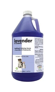 ShowSeason Lavender Shampoo