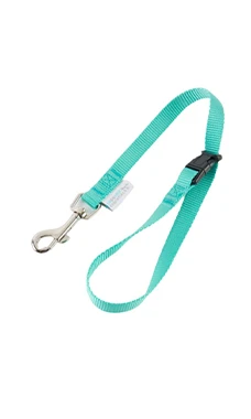 Groomer Essentials Quick Release Loop Turquoise