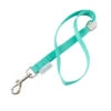 Groomer Essentials 17" Grooming Loop Turquoise