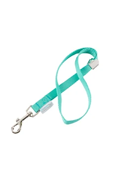 Groomer Essentials 17" Grooming Loop Turquoise