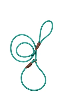 Groomer Essentials 6' Royal Slip Lead Turquoise