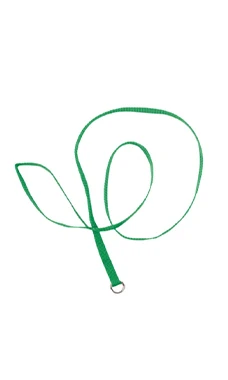 Groomer Essentials 4' Kennel Leads 12 Pack Green