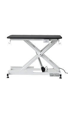 Groomer Essentials Low Level Electric Grooming Table